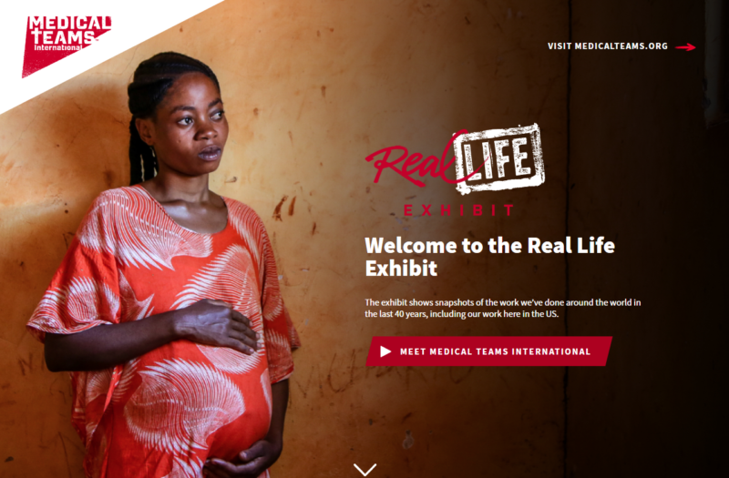 The landing page of the Virtual Real Life Exhibit