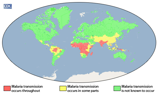 A world map of malaria transmission rates.