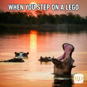 When you step on a lego meme.