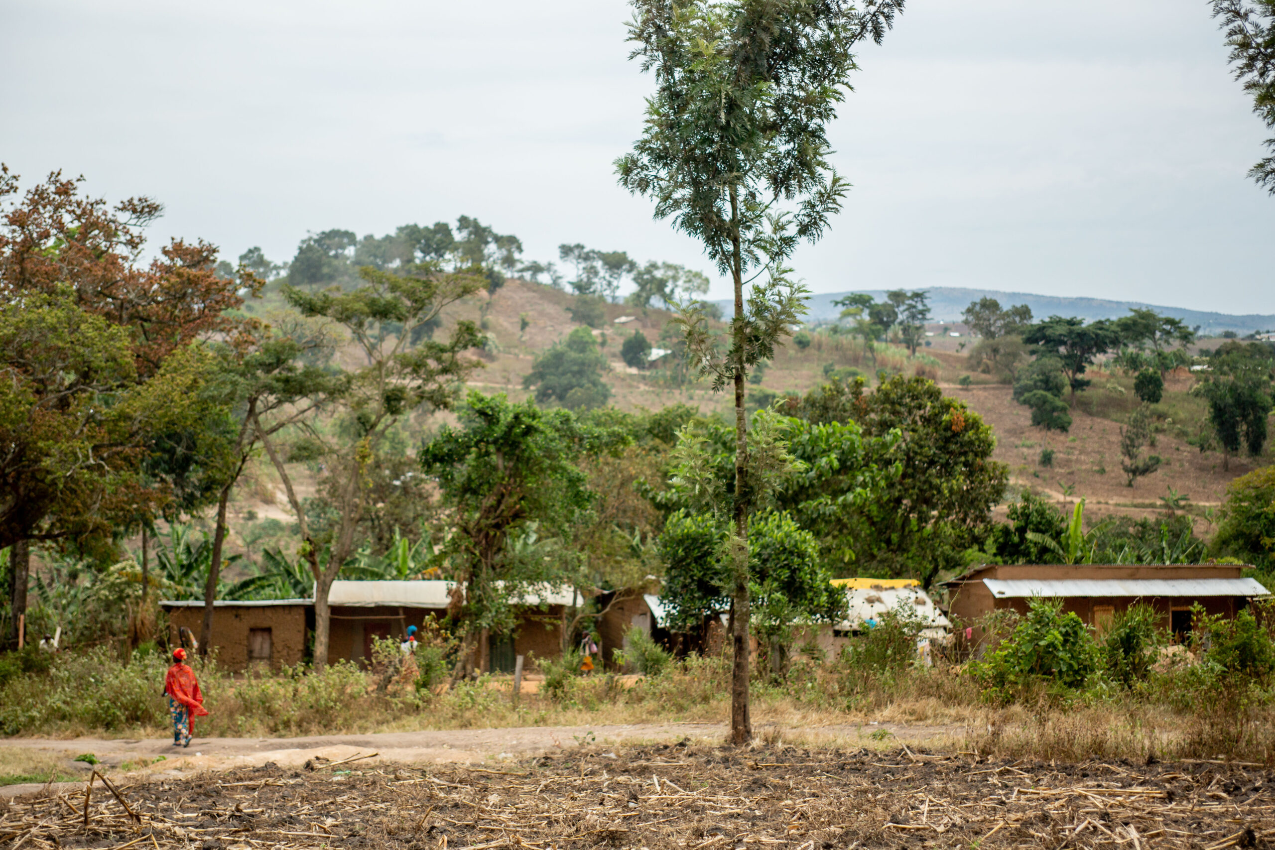 Rwamwanja Refugee settlement in Uganda. 