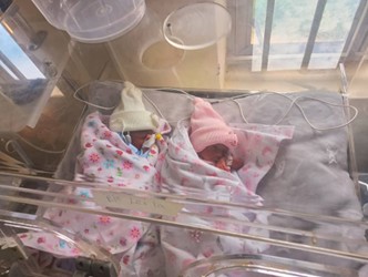 The twins in the NICU.